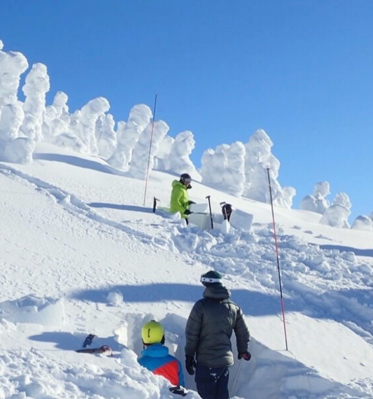 Avalanche Skills Level 1